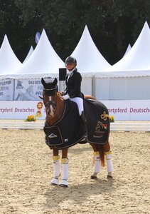 Michele Schulmerig und Next Dancer C waren strahlende Sieger der Qualifikationsprüfung der dreijährigen Reitponystuten und -wallache. | © Hörster Michele Schulmerig und Next Dancer C waren strahlende Sieger der Qualifikationsprüfung der dreijährigen Reitponystuten und -wallache. | © Hörster