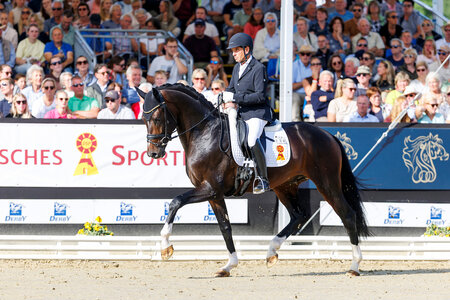 Uwe Schwanz und Datejust begeisterten im Finale der vierjährigen Hengste. | © Lafrentz Uwe Schwanz und Datejust begeisterten im Finale der vierjährigen Hengste. | © Lafrentz