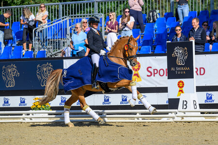 DSP Goldschatz und Michele Schulmerig konnten bei den vierjährigen Reitponys zum Vize-Champion-Titel galoppieren. | © Equitaris DSP Goldschatz und Michele Schulmerig konnten bei den vierjährigen Reitponys zum Vize-Champion-Titel galoppieren. | © Equitaris