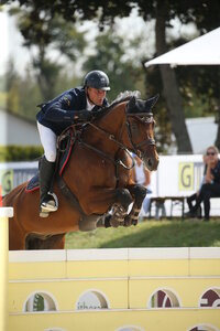 So kannte man ihn: Cassadero mit gespitzten Ohren über dem Sprung.  | © D. Matthaes