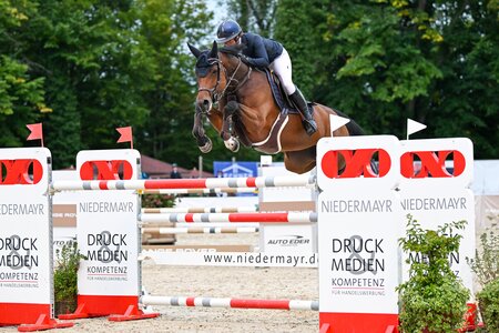 Elisabeth Meyer und Let it Shine siegen im Großen Preis von Ising. | © Puschak