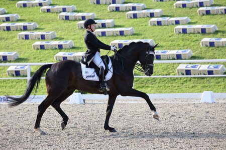 Julia Bögner und Quinn trabten in Meura zum S**-Sieg.  | © D. Matthaes