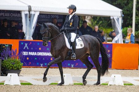 Dem deutschen Para-Dressurteam gelang bei den Europameisterschaften vor wenigen Wochen eine historische Leistung - Mannschaftsgold und mehrere Goldmedaillen in der Einzelwertung. | © Lafrentz