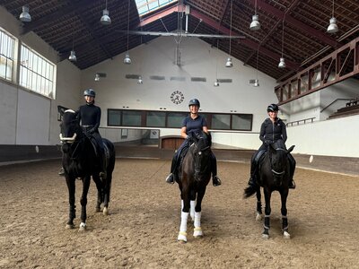 Im Stuttgarter Reit- und Fahrverein kam es zu einer Neuordnung des Reitlehrerteams. | © privat