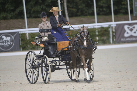 Anna Genkinger und Bella Donna starteten mit einem siebten Platz in der Dressur in die Weltmeisterschaft der Ponyfahrer. | © Hippoevent / Andreas König