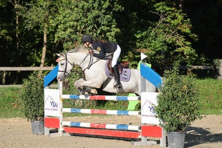 Noch ein Ttel für Frieda Grüber  | © D.Matthaes