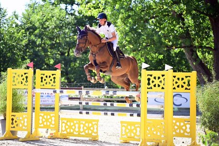 Erneut zu Gold: Armin Jun. Schäfer und Vegas van Overis Z siegten im ersten S*-Springen des Kranichsteiner Herbstmeetings. | © Dill