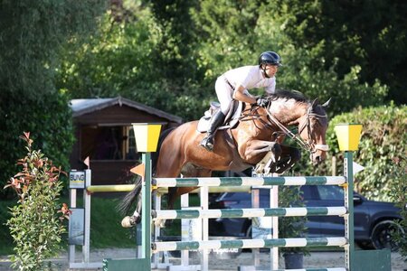 S-Sieger in Walldorf Thomas Teufel mit Ac en ciel de Gaia | © D. Matthaes