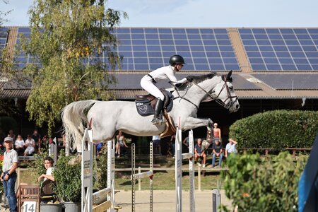Top-Stilistin Ellah Dubeau-Kielty jetzt am Stall Wulschner | © D. Matthaes