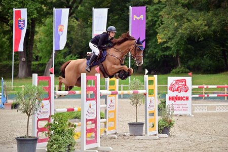 Anna-Marlena Zehnle und ihre Chantaya konnten im Youngster-S deutlich zum Sieg reiten. | © Dill