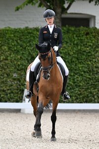 Maya Wächter trabte beim CDI Ornago mit Nasdaq zu drei Siegen. | © Mirka Nilkens (Archiv)