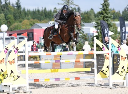 Viel Qualität und Schnelligkeit im Parcours: Quincy OLD unter Timo Beck | © Roger Müller