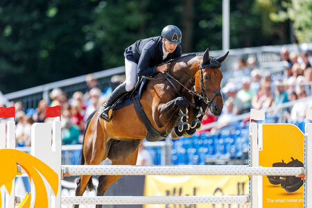 Käthe K sprang bei den Weltmeisterschaften der jungen Springpferde in die Platzierung. | © Lafrentz