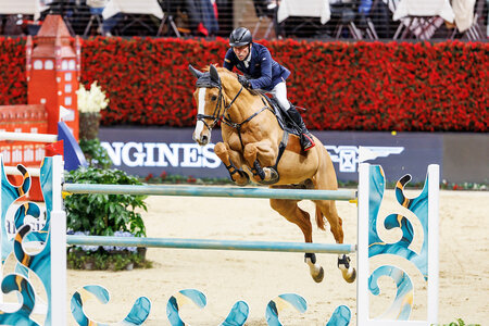 Hansi Dreher und Vestmalle des Cotis springen im Großen Preis zu Rang sechs. | © Lafrentz (Archiv)