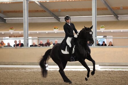 Timo Kemmerer sicherte sich mit Dantes Zazou in der ersten S***-Dressur von Waghäusel-Wiesental einen überlegenen Sieg. | © D. Matthaes