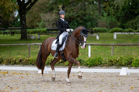 Linda Jung und Qu'est-ce que c'est sicherten sich den Sieg in der ersten S*-Dressur von Tübingen. | © Bambi Fotografie