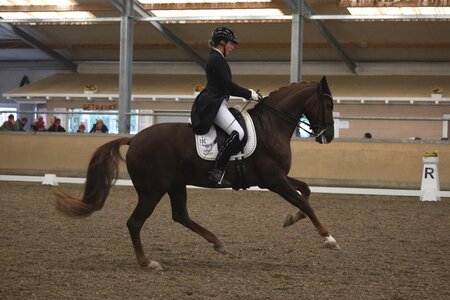 Anna-Louisa Fuchs galoppierte bei den Ü25-Reitern erneut zum Titel. | © D. Matthaes