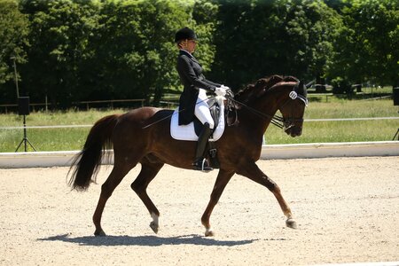 Ricarda Mestmäcker übernimmt die Betriebsleitung beim RFV Ludwigsburg. | © D. Matthaes (Archiv)