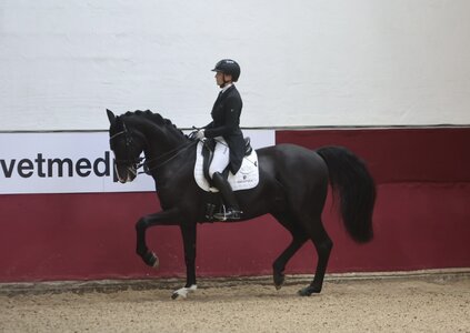 Nicole Casper und Zabalou sicherten sich in Reutlingen den nächsten S***-Sieg. | © D. Matthaes