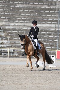 Maya Wächter und Melli´s Glückskeks sichern sich mit der Mannschaft den Sieg. | © Doris Matthaes (Archiv)