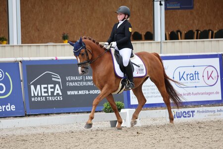 Sophia Bäuerle und Wallach Cromwell überzeugen auch in Prussendorf. | © Doris Matthaes (Archiv)
