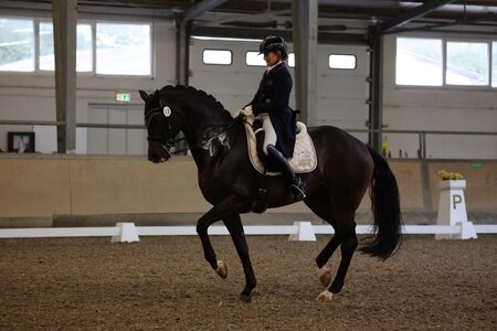 Katrin Burger und Odette sicherten sich in Troisdorf eine internationale Dreisterne-Platzierung. | © D. Matthaes (Archiv)