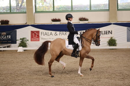 Ann-Cathrin Rieg und Steendieks Derrick begeisterten beim Halbfinale DERBY Stars von Morgen in Ising. | © D. Matthaes
