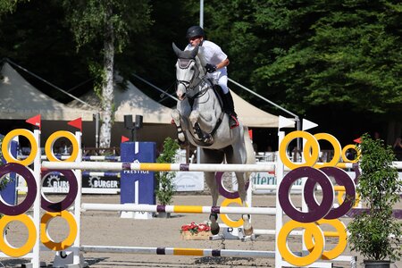 Hans-Dieter Dreher und Cous Cous dieses Jahr in Ichenheim | © Doris Matthaes (Archiv)