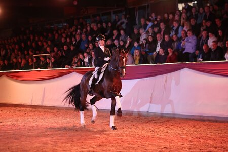 Beim Gala Abend 2024 begeisterten Johanna Wadenspanner und DSP Hengst Erste Sahne das Marbacher Publikum. | © DoMa (Archiv) Beim Gala Abend 2024 begeisterten Johanna Wadenspanner und DSP Hengst Erste Sahne das Marbacher Publikum. | © DoMa (Archiv)