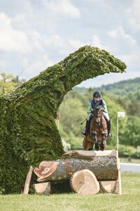 Die Internationale Marbacher Vielseitigkeit 2026 miterleben - Eintrittskarten für den Geländetag können derzeit vergünstigt erworben werden.  | © TOMsPiC Die Internationale Marbacher Vielseitigkeit 2026 miterleben - Eintrittskarten für den Geländetag können derzeit vergünstigt erworben werden.  | © TOMsPiC
