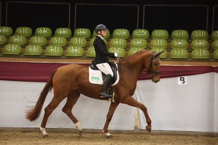 Vajana siegte im Finale des Gert-Gussmann-Cups 2025 unter Margit Hagel. | © DoMa