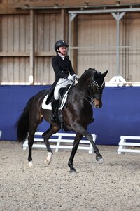 Saskia Löwel und Fürstenballerina Live trabten am vergangenen Wochenende zum ersten S***-Sieg. | © D. Matthaes