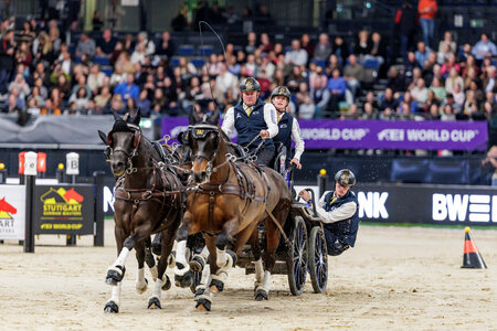 Boyd Exell gelang es erneut mit seinem Vierspänner zu einem Sieg bei den Stuttgart German Masters in der Einlaufprüfung des Vierspänner Weltcups zu fahren. | © Lafrentz
