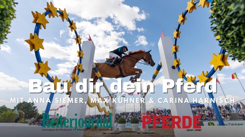 Aus welchen Pferden würden Sie ihr "ideales" Pferd zusammenbauen? | © Lafrentz