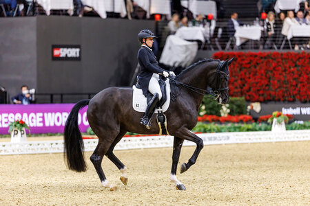 Isabell Werth und Wendy de Fontaine siegen in der Weltcup-Qualifikation von Basel. | © Lafrentz
