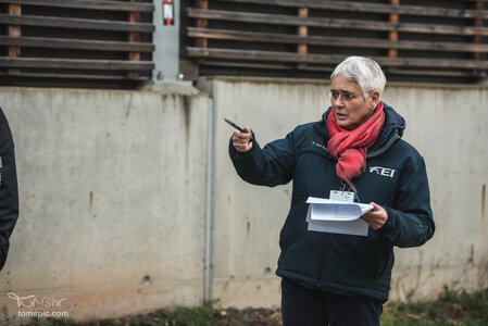 Neben ihrer Richtertätigkeit bis zur schweren Klasse ist Katharina von Stetten auch FEI-Steward. | © TomsPic