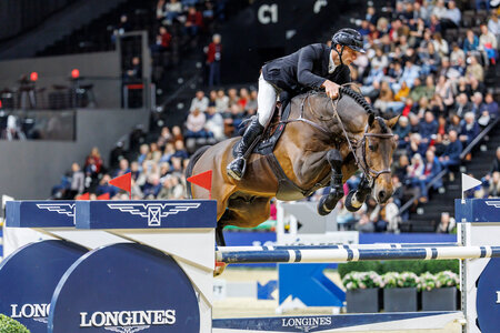 Diamant de Casall unter dem Sattel von Richard Vogel  | © Lafrentz