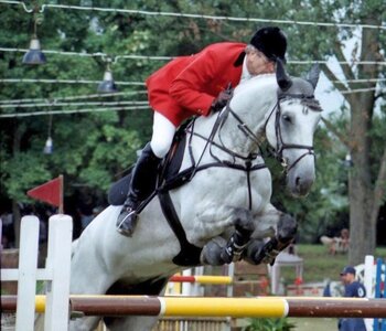 Gerhard Fuchs im Sattel von Lafitte | © Pferdesportverband Südbaden 