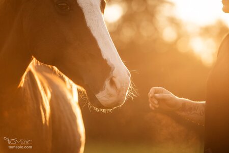 Weil die Nähe zählt! | © TomsPic (frei)
