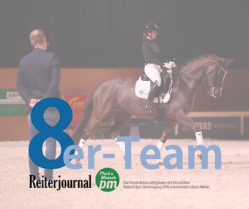 Jetzt bewerben und beim großen 8er-Team Doppelfinale auf der PFERD Bodensee mitreiten und von Spitzen-Profis lernen! | © DoMa (Archiv: 2024)