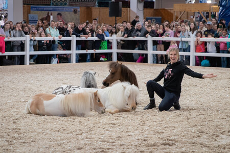 Die Vorfreude steigt: Auf der Pferd Boden2026 wird es ein tolles Programm geben - auch mit Julia und ihren Shetty von @julialibertyhorses | © PM (frei)