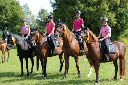 Der Württembergische Pferdesportverband veranstaltet dieses Jahr einen Schulpferdecup. | © Knisel-Eberhard