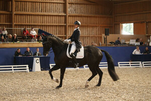Ein Bild, das man vermissen wird - Dressursport in Zeutern | © D. Matthaes