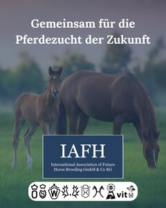 Meilenstein der Pferdezucht: das weltweit größte genomisch unterstützte Zuchtwertschätzsystem der IAFH. | © IAFH (PM)