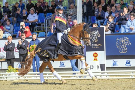 Im vergangenen Jahr führten Michele Schulmerig und Next Dancer die dreijährigen Reitponys an. | © Equitaris (Archiv)