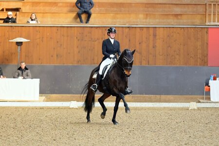 Fiona Serafina Lukas und Aragorn trabten zum S***-Sieg. | © Dill