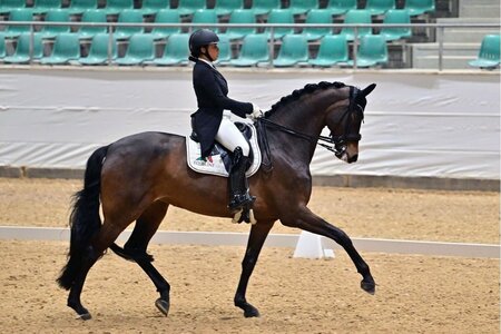 Marielle Anumu und Treffinger`s First Florence holen dreimal Rang drei in Kreuth. | © Dill