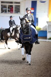 2025 hatte sich Anna Casper mit Birkhof's Bacardi in Pforzheim zwei Dreisterne-Siege gesichert. | © D. Matthaes