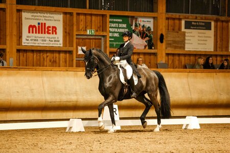 Alexandra Rieger und Dragoni setzten sich in der Dreisterne-S-Dressur von Schwendi durch. | © Janina Sanwald