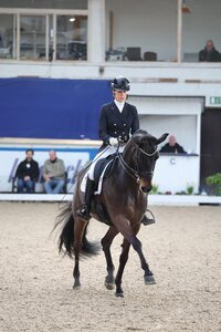 Sabina Schrödter und Feine Bella befanden sich auch in der zweiten Jungpferde-S-Dressur von Pforzheim in einer eigenen Liga. | © D. Matthaes